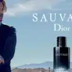 Dior Sauvage Dossier.co Provides a Outline of the Business
